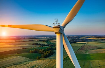 Sustainability Leaders Strategy